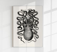 Octopus Front Antique Print – Art Print Octopus — Ansicht 1