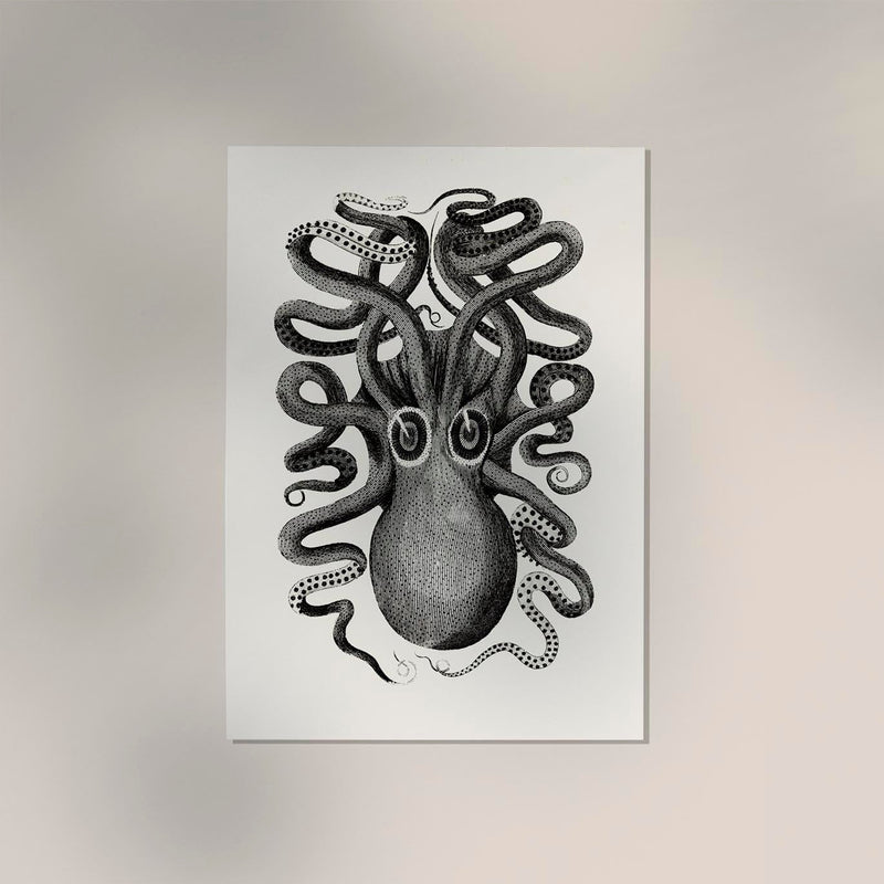 Octopus Front Antique Print – Art Print Octopus — Ansicht 3