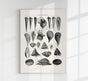Seaside Amusements Shell Chart Antique Print – Patroa Studio