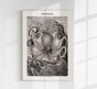Squid Snails Antique Print – Fine Art Print UV-beständig Atelierdruck