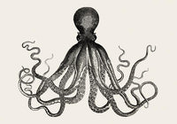 Octopus Antique Print - Historical Marine Illustration Fine Art Poster — Ansicht 4