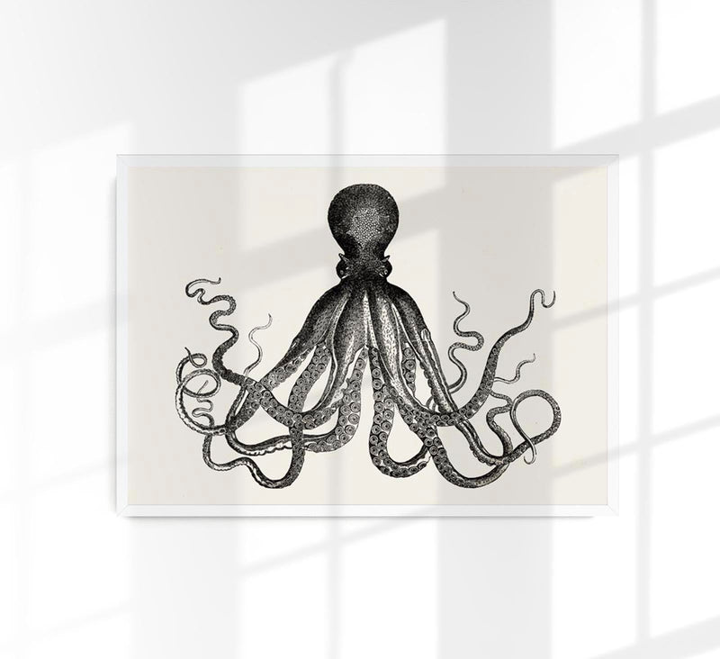 Octopus Antique Print - Historical Marine Illustration Fine Art Poster — Patroa Studio