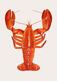 The Red Lobster Antique Print – Fine Art Wall Art UV-resistant handmade — Ansicht 4