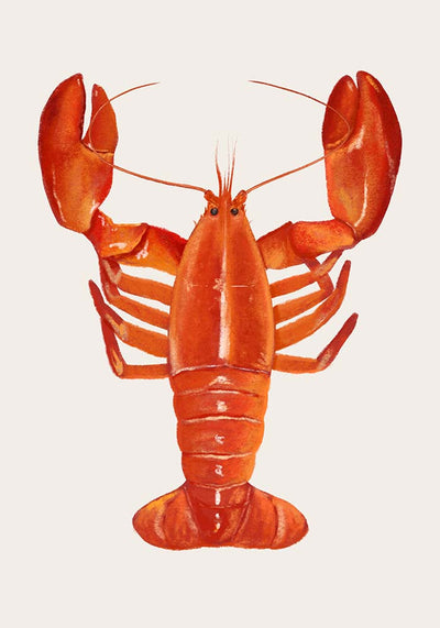 The Red Lobster Antique Print – Fine Art Wall Art UV-resistant handmade
