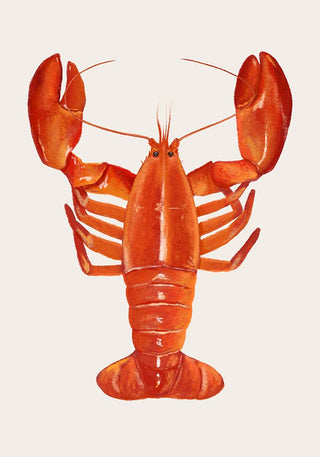 The Red Lobster Antique Print – Fine Art | UV-Resistant | Handmade