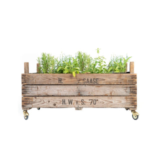 Rolling raised bed made of onion sieves