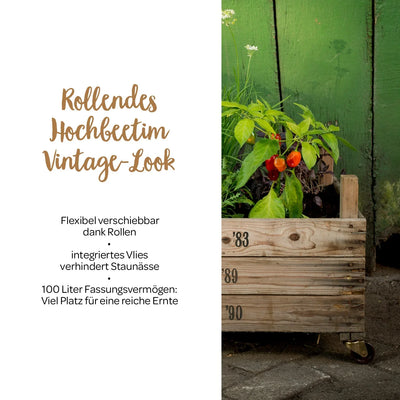 Rollendes Hochbeet aus Zwiebelsieben – Upcycling, 100 l, mobil auf Rollen
