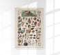 Mollusks, Worms, Echinoderms Chart Poster – Scientific Illustration