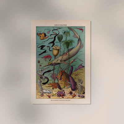 Oceanography Chart Poster – Scientific Illustration Marine Biology