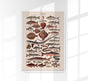 Poissons Fish Chart Poster – Scientific Illustration by Patroa Studio