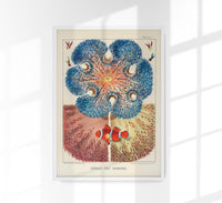 Great Barrier Reef Anemones No 1 – Art Print by Patroa Studio — Ansicht 1