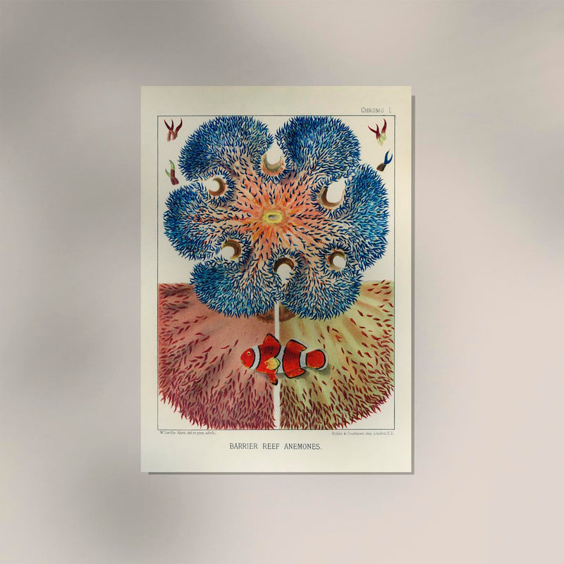 Great Barrier Reef Anemones No 1 – Art Print by Patroa Studio — Ansicht 2