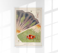 Great Barrier Reef Anemones No. 2 – Art Print Berlin — Ansicht 1