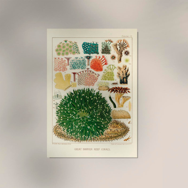 Great Barrier Reef Corals Nr 5 – Kunstdruck UV-resistent — Ansicht 2