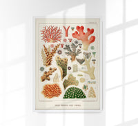 Great Barrier Reef Corals Nr 7 Poster – Kunstdruck — Ansicht 1