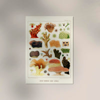 Great Barrier Reef Corals Nr 8 – Kunstdruck auf Archivpapier — Ansicht 2