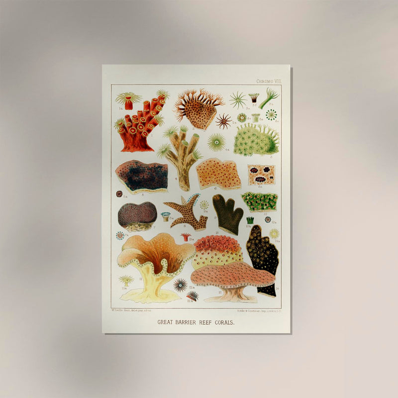 Great Barrier Reef Corals Nr 8 – Kunstdruck auf Archivpapier — Ansicht 2
