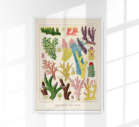 Great Barrier Reef Corals Nr 9 – Kunstdruck UV-resistent — Ansicht 1
