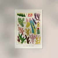 Great Barrier Reef Corals Nr 9 – Kunstdruck UV-resistent — Ansicht 2