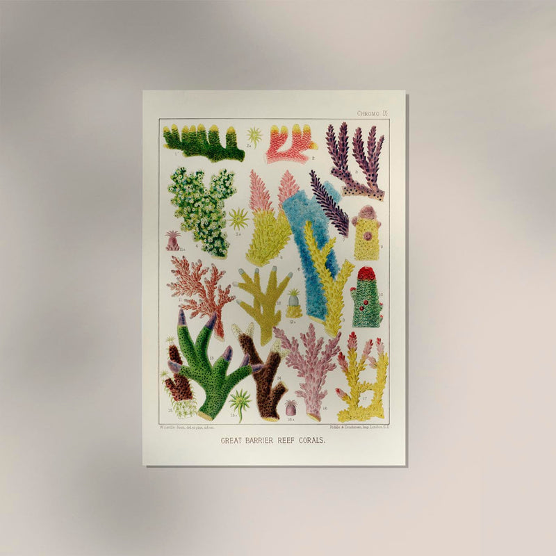 Great Barrier Reef Corals No 9 – Art Print UV-resistant — Ansicht 2
