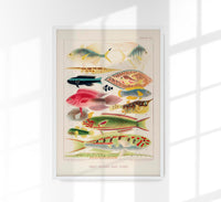 Great Barrier Reef Fishes Nr 16 Kunstdruck – Handgefertigt Berlin — Ansicht 1
