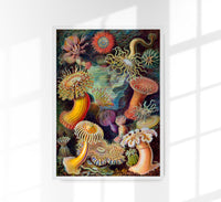 Anchovy and Sardine Art Print – Fine Art Paper, UV Resistant, Handmade — Ansicht 1