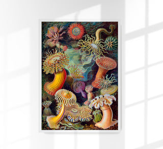 Anchovy and Sardine Art Print – Fine Art Paper, UV Resistant, Handmade