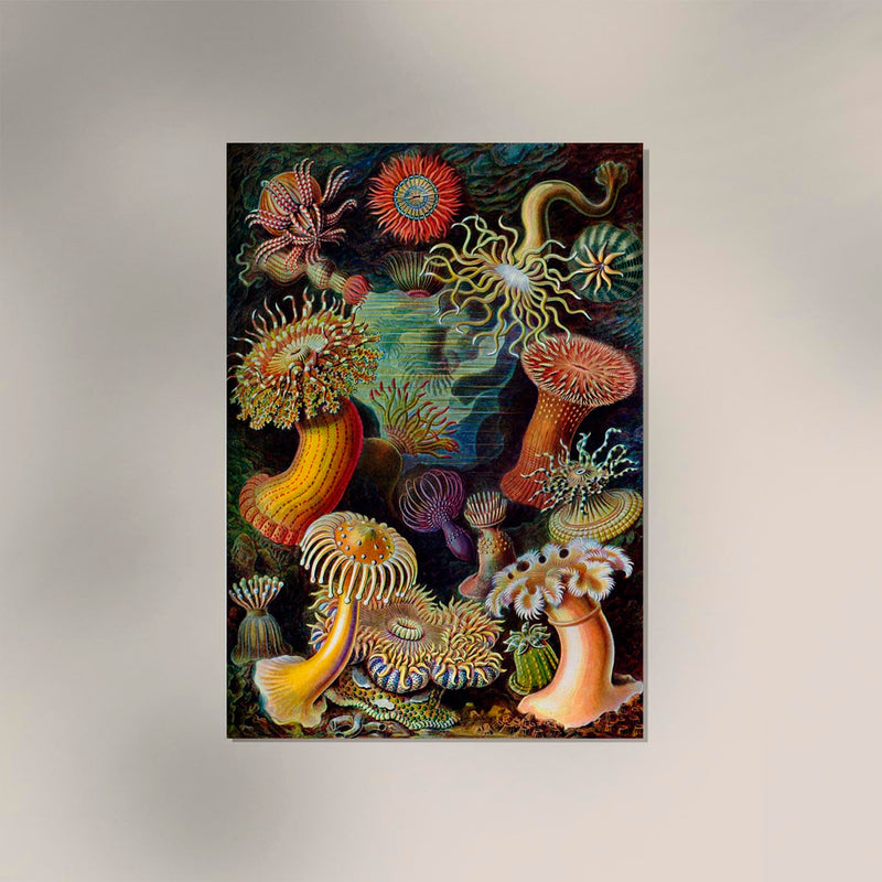Anchovy and Sardine Art Print – Fine Art Paper, UV Resistant, Handmade — Ansicht 2