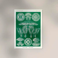 Discomedusae Green Jellyfish – Ernst Haeckel Poster Fine Art Print | Scientific Ocean Art — Ansicht 2