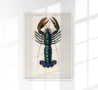 The Lobster Poster | Maritime statement | Handmade in Berlin