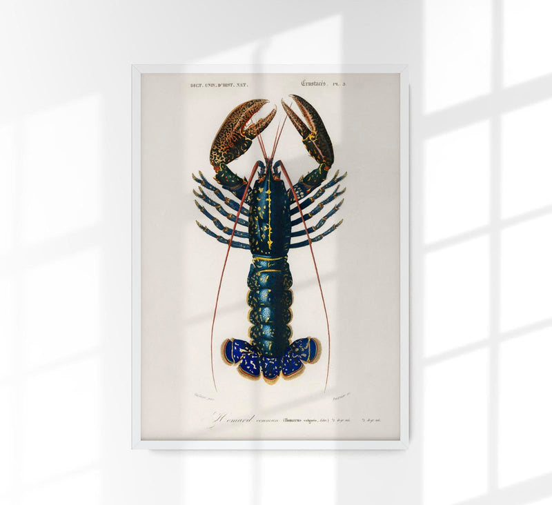 The Lobster Poster – Maritimes Statement, handgefertigt in Berlin — Patroa Studio