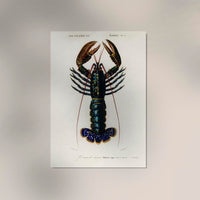 The Lobster Poster – Maritimes Statement, handgefertigt in Berlin — Ansicht 3