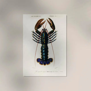 The Lobster Poster | Maritime statement | Handmade in Berlin