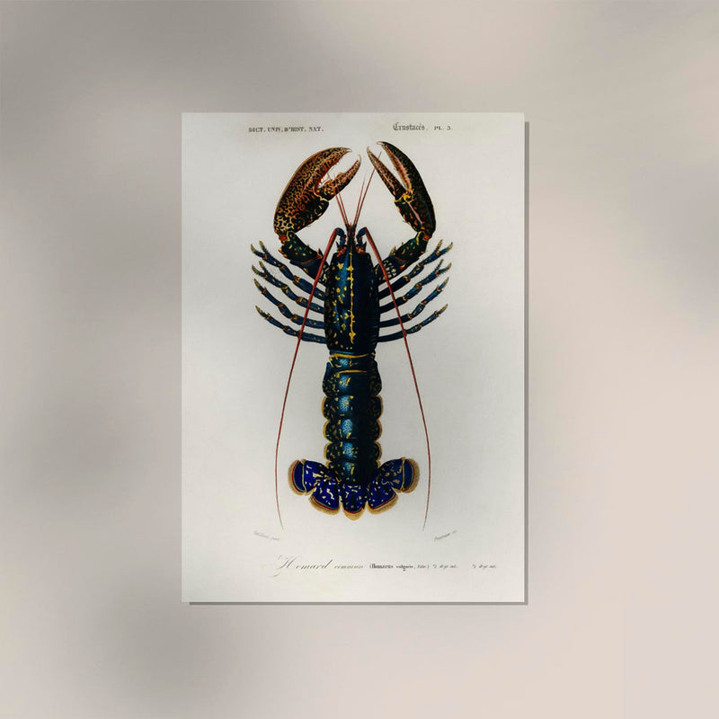 The Lobster Poster – Maritimes Statement, handgefertigt in Berlin — Ansicht 3