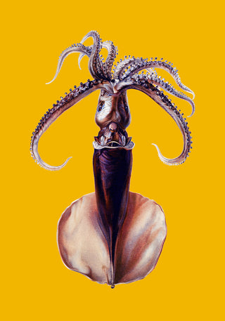 Yellow Squid Art Poster – UV-beständig | Fine Art Print | Meeresmotiv in Gelb