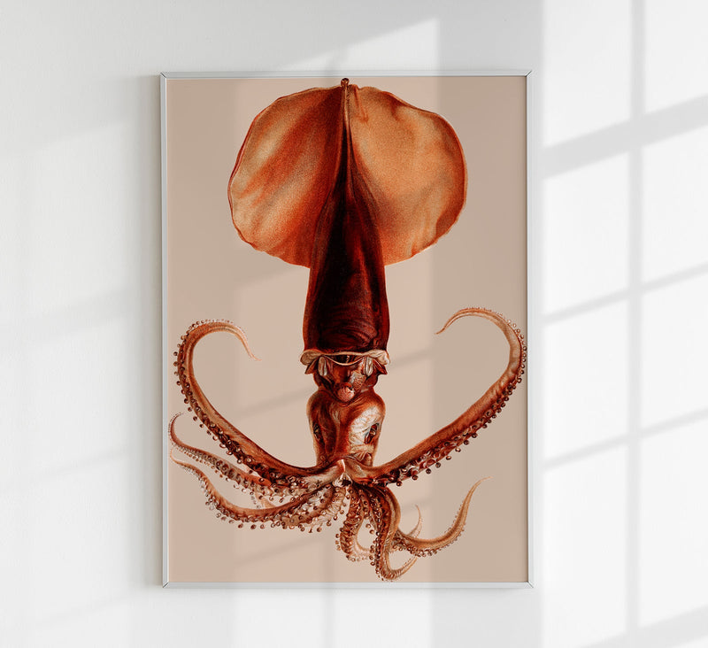 Squid Art Poster – Fine Art Print UV-beständig Atelierdruck — Patroa Studio