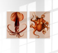Beige Pulpo Squid Set of 2 Prints – Kunstdrucke handgefertigt Berlin — Ansicht 1