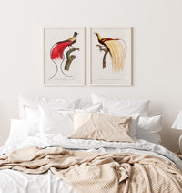 Patroa Studio Set Birds – 2er Kunstdruck Set — Ansicht 2