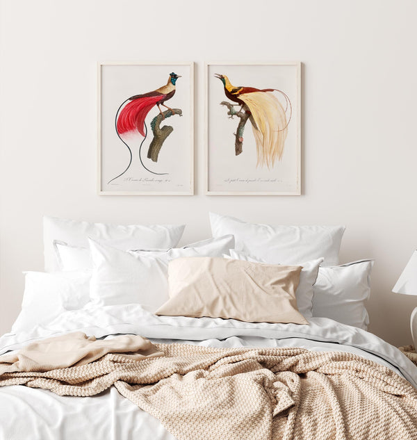 Patroa Studio Set Birds – 2er Kunstdruck Set