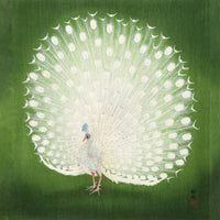 Green Peacock Japanese Squared Print – Fine Art Print UV-resistant — Ansicht 3