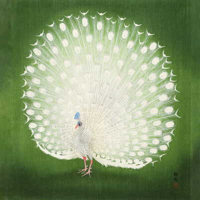 Green Peacock Japanese Squared Print – Fine Art Print UV-resistant