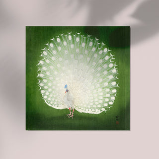 Green Peacock Japanese Squared Print – Fine Art Print | UV-Resistant | Canvas Edition