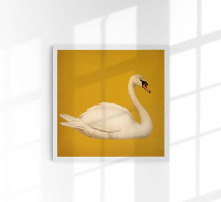 White Swan in Yellow Squared Print
