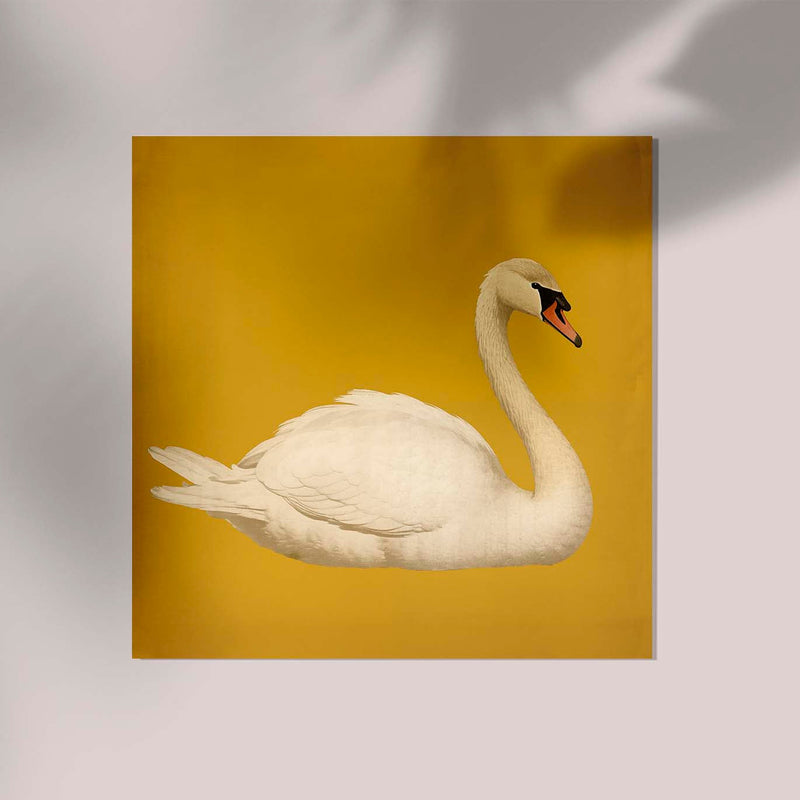 White Swan in Yellow Squared Print – Kunstdruck Fine Art — Ansicht 3