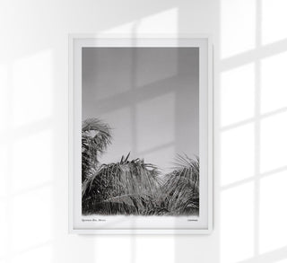 Tropical Trees Mexico Poster – Fine Art Print Patroa Studio