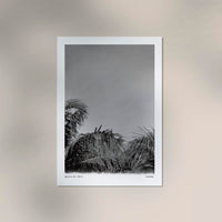 Tropical Trees Mexico Poster – Fine Art Print Patroa Studio — Ansicht 3