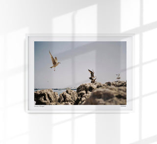 Cascais Poster by Cannanas – Black and White Art Print