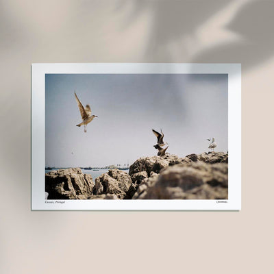Cascais Poster by Cannanas – Black and White Art Print