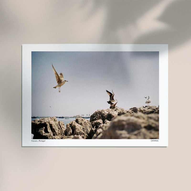 Cascais Poster by Cannanas – Black and White Art Print — Ansicht 3