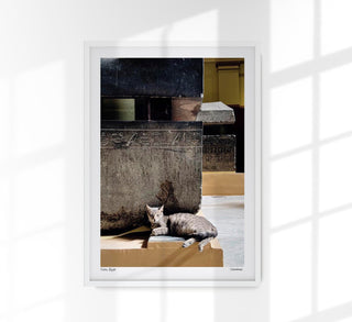 Cat in Cairo Poster by Cannanas – Illustration | Urban Exotic | Fine Art
